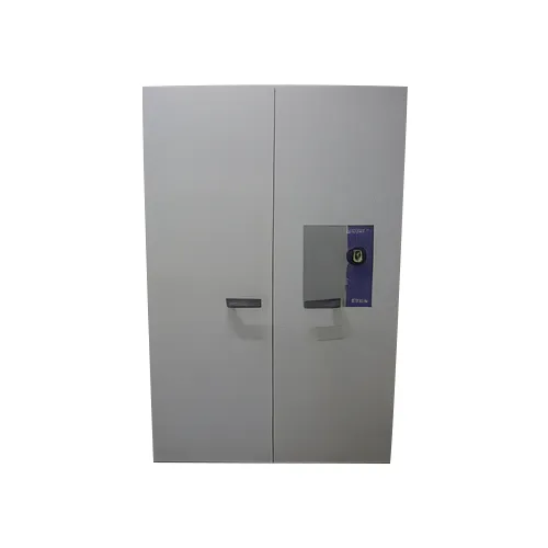 Vijilam Serrurerie Generale A Laval Pres De Bonchamp Les Laval Et L Huisserie En Mayenne ARMOIRE IGNIFUGE GAMME CELSIA DE CHEZ FICHET BAUCHE