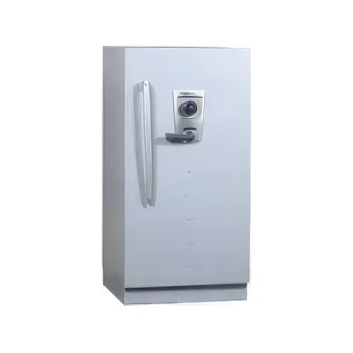 Vijilam Serrurerie Generale A Laval Pres De Bonchamp Les Laval Et L Huisserie En Mayenne ARMOIRE IGNIFUGE GAMME DIVA DE CHEZ FICHET BAUCHE